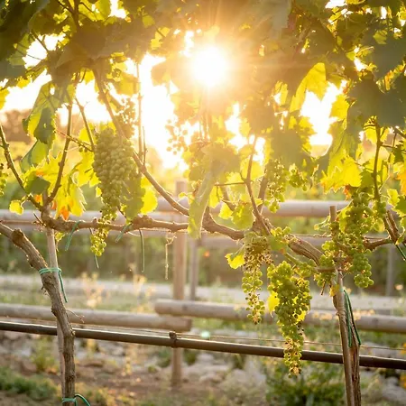 Vigna Corallo Appart hôtel