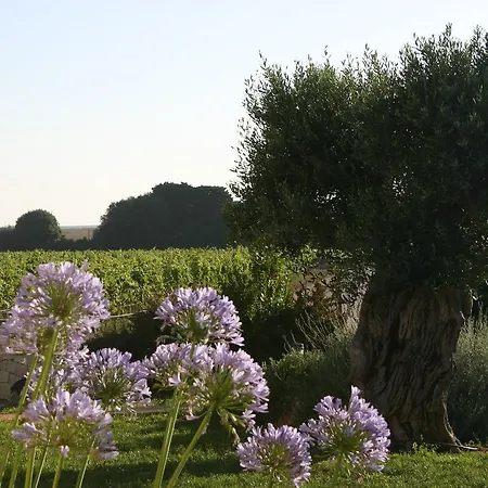 Vigna Corallo 3* Otranto