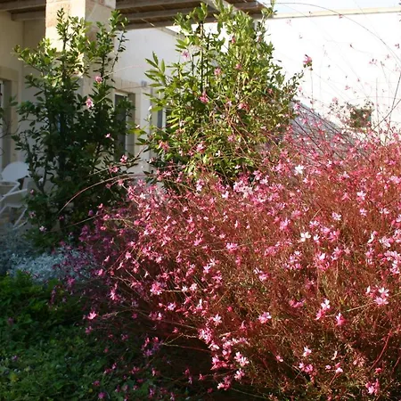 Vigna Corallo Aparthotel Otranto