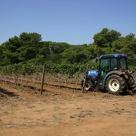 Vigna Corallo 3*