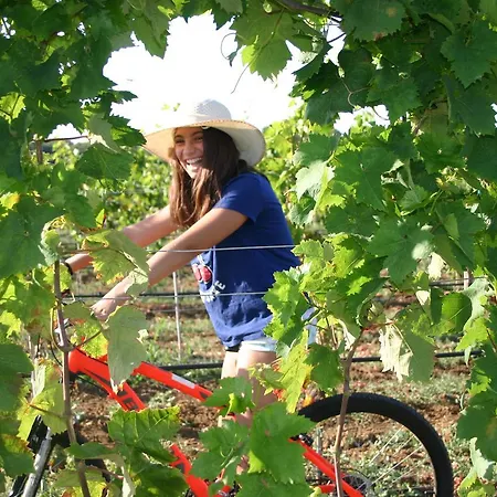 Vigna Corallo 4* Otranto