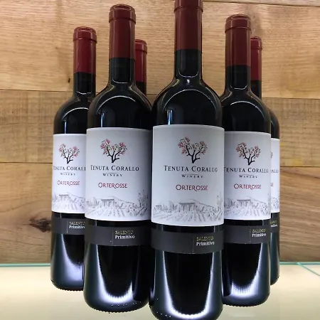 Apartahotel Vigna Corallo Otranto